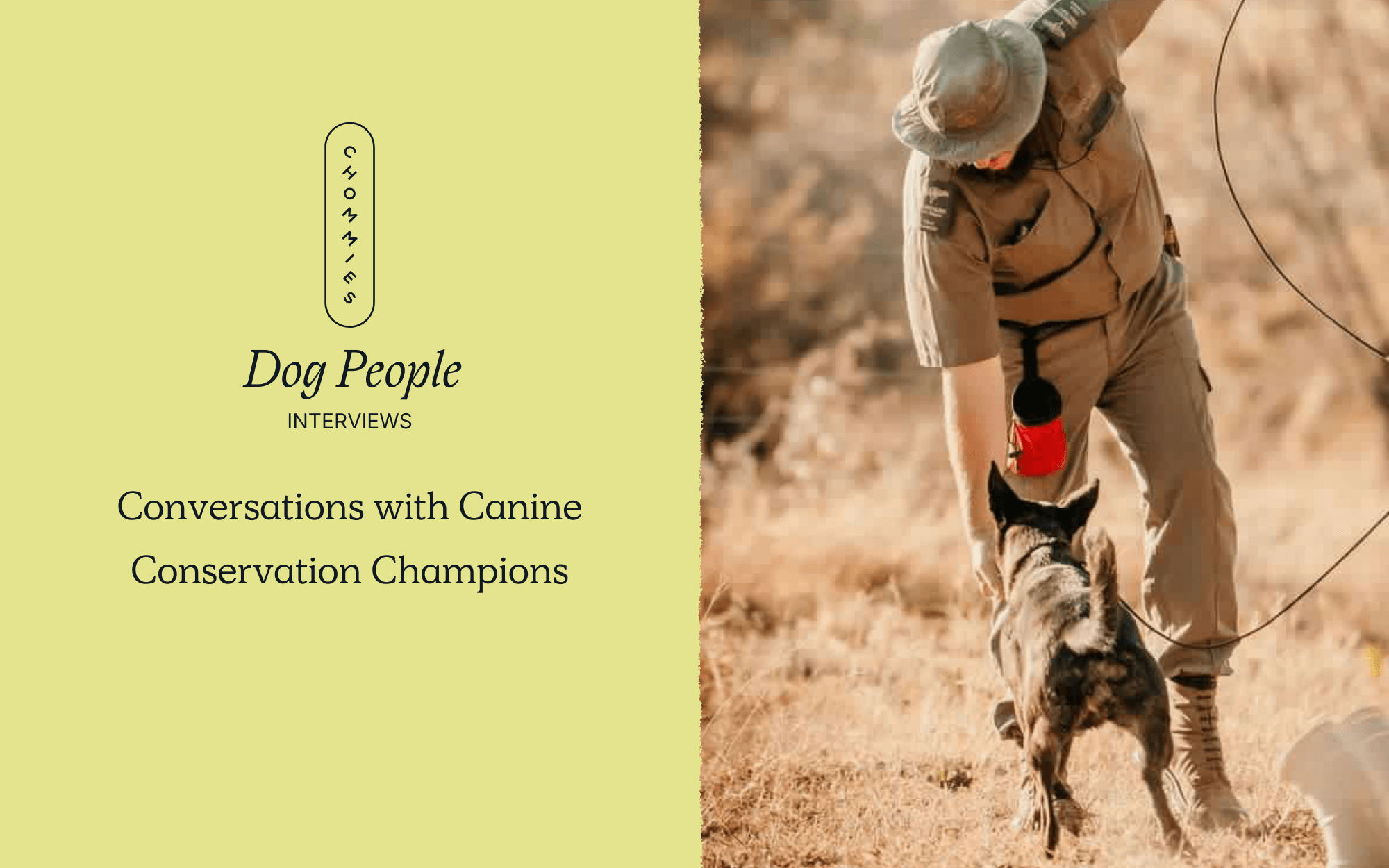 Meet the Tango K9 Anti-Poaching Unit and the Extraordinary Dogs Protecting Africa's Unique Wildlife - Chommies