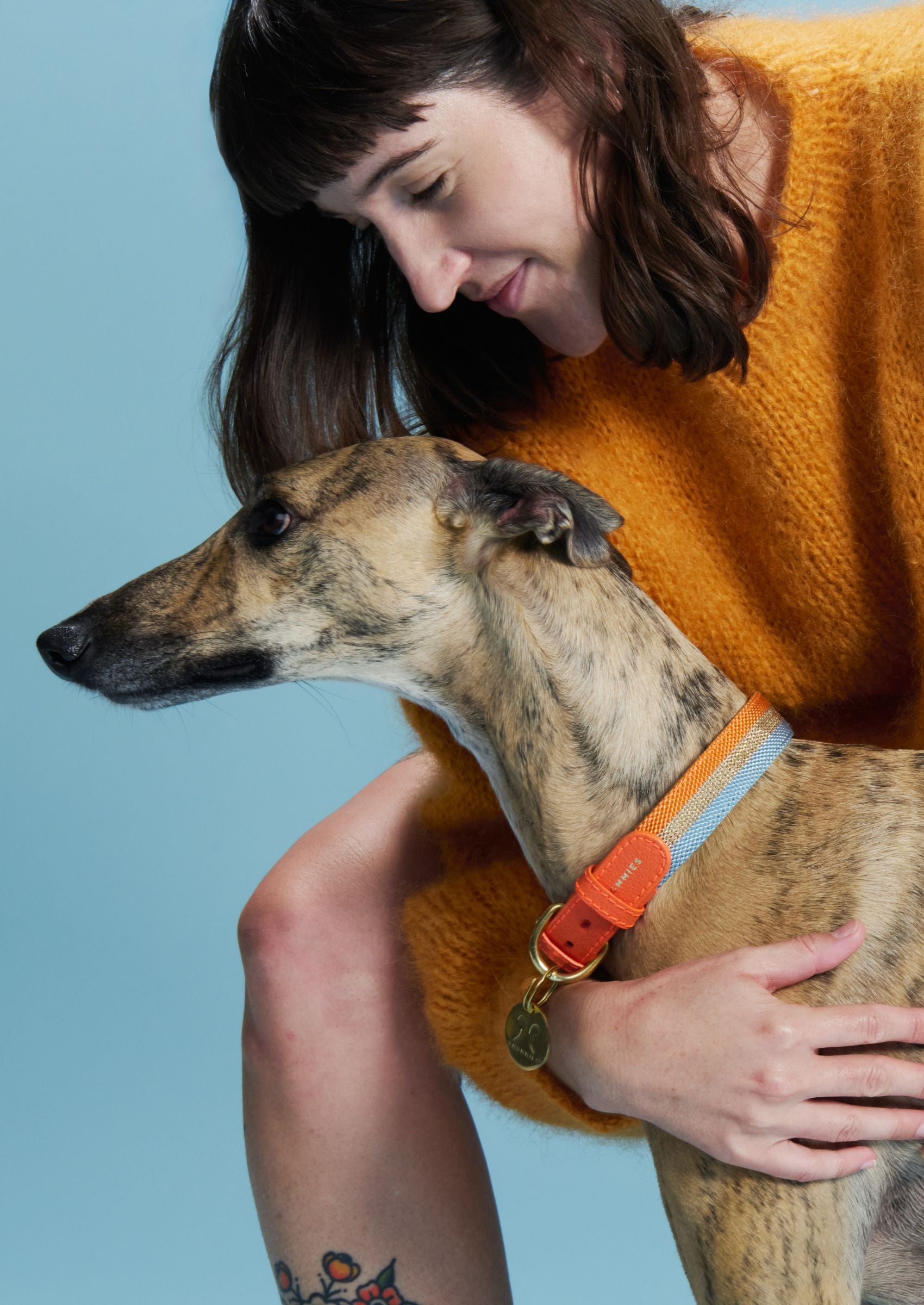 Adjustable Dog Collar | Aurora on Orange