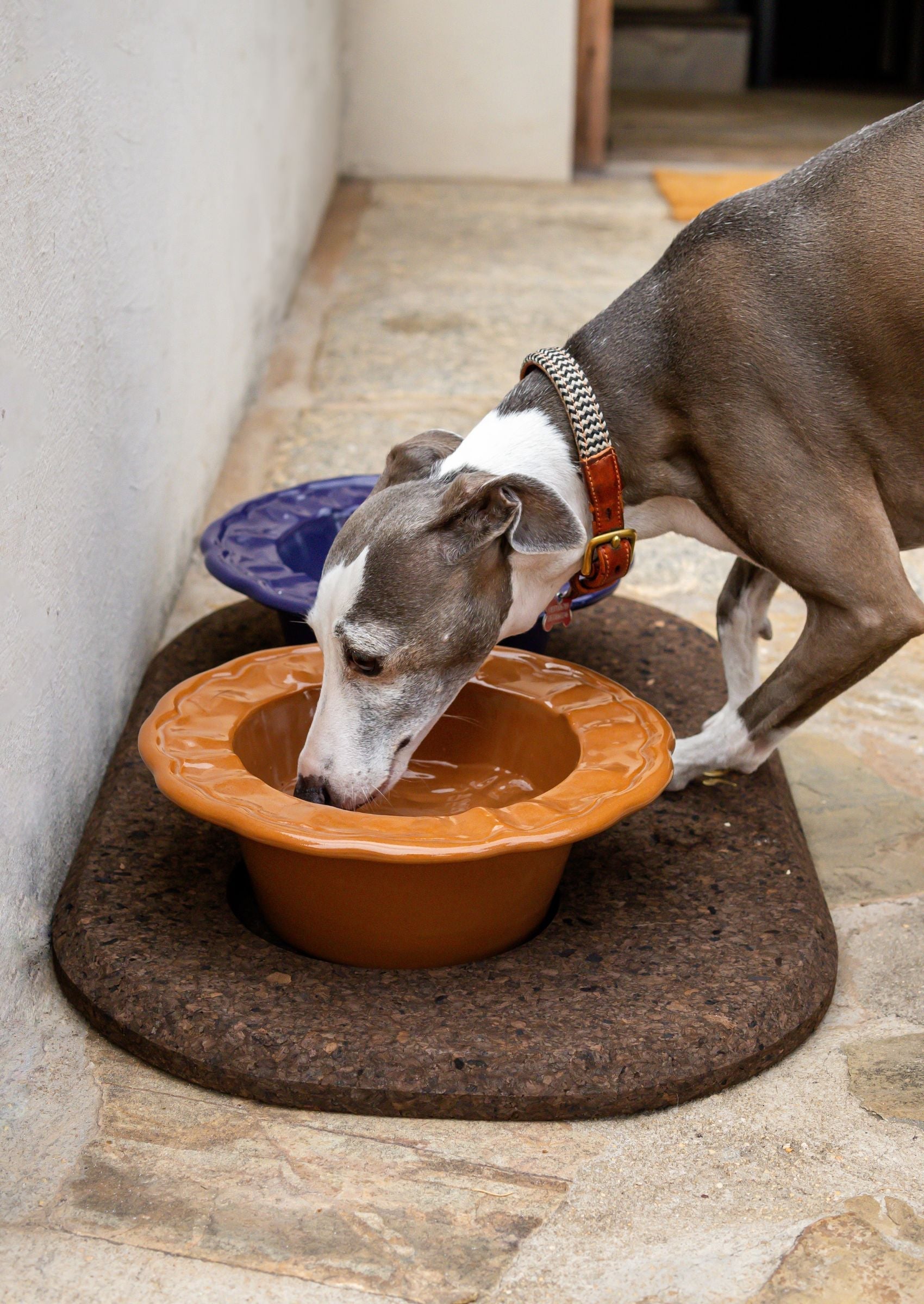 Ceramic Boujee Dog Bowl | Tangerine