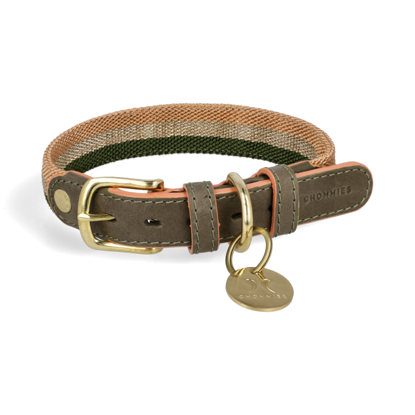 Adjustable Dog Collar | Aurora on Olive