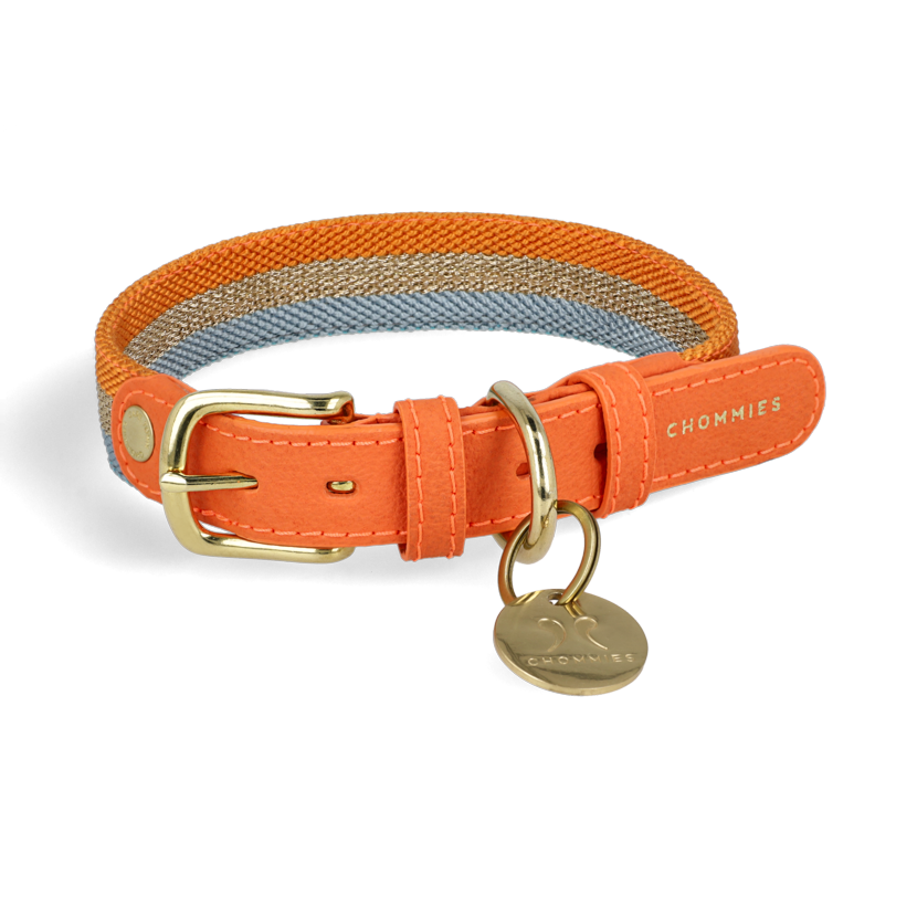 Adjustable Dog Collar | Aurora on Orange