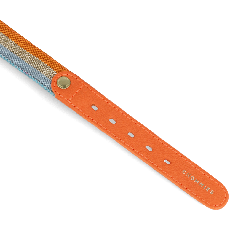 Adjustable Dog Collar | Aurora on Orange