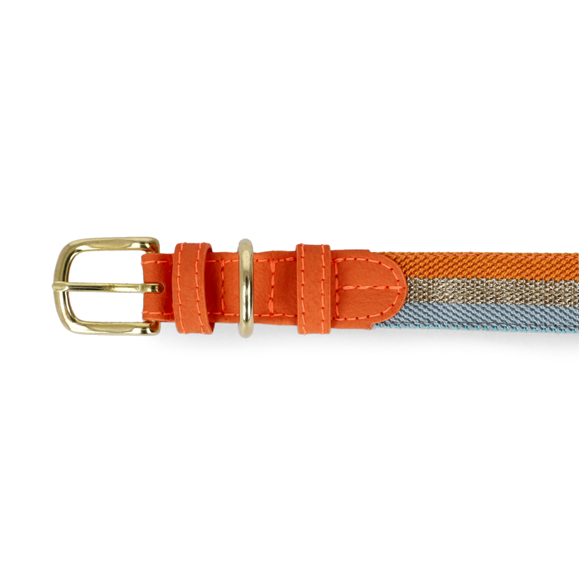 Adjustable Dog Collar | Aurora on Orange