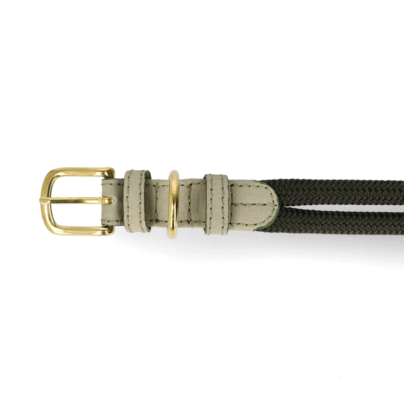 Adjustable Dog Collar | Spring with Vegan Mycelium Leather