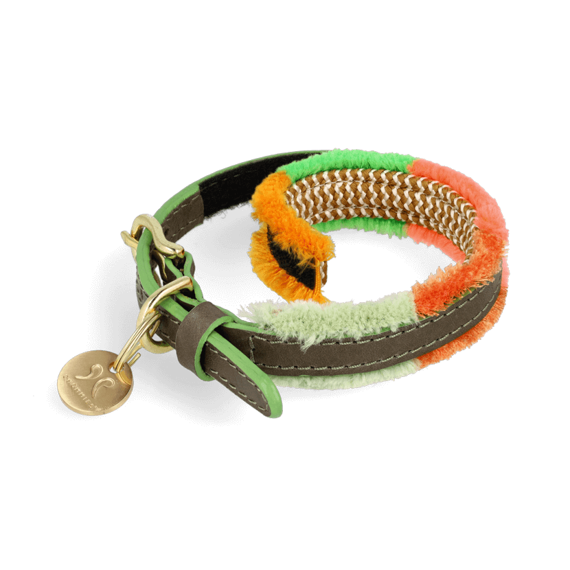 Adjustable Small Dog Collar | Pomm Pomm Spring