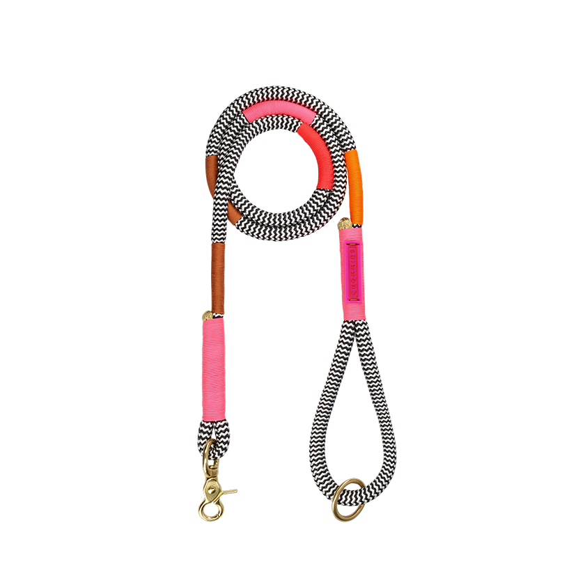 Everyday Dog Leash | Shongololo on BW