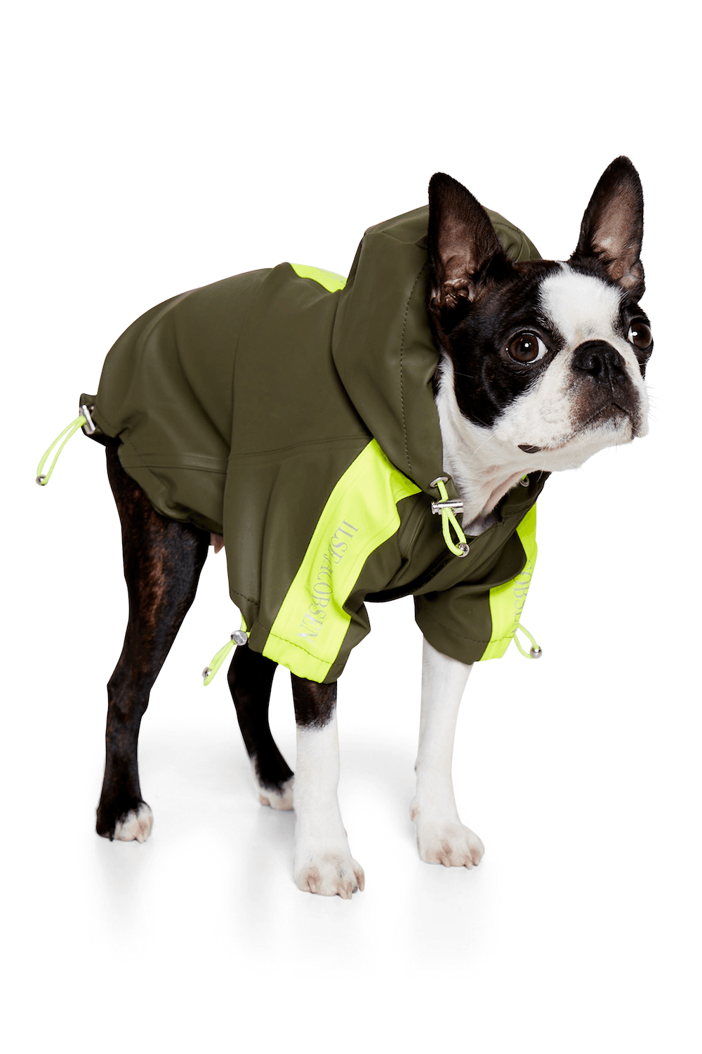 Dog Rain Coat | Army Green | For Small Dog Breeds