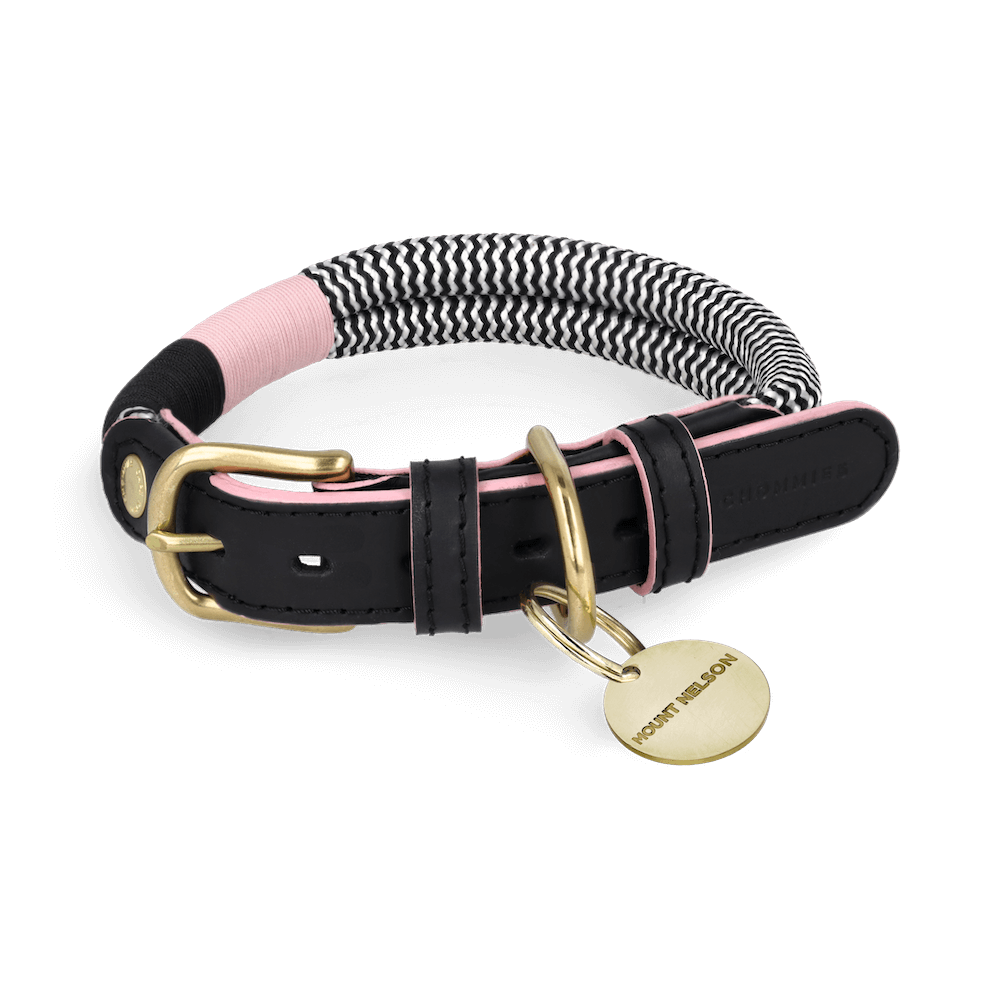 Adjustable Dog Collar | Tennis Court