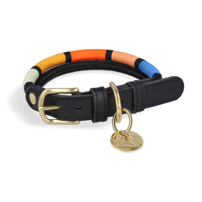 Adjustable Dog Collar | Shongololo on Black