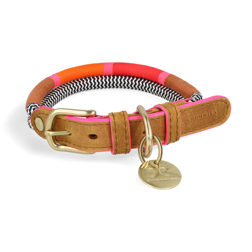 Adjustable Dog Collar | Shongololo on BW