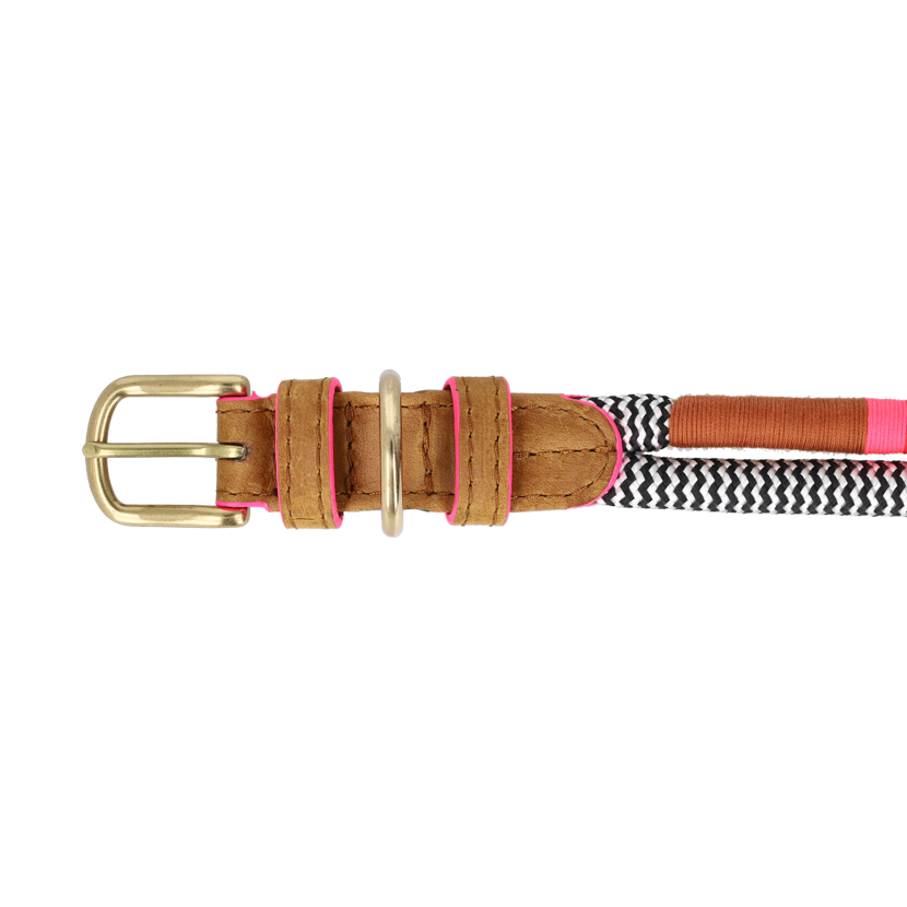 Adjustable Dog Collar | Shongololo on BW