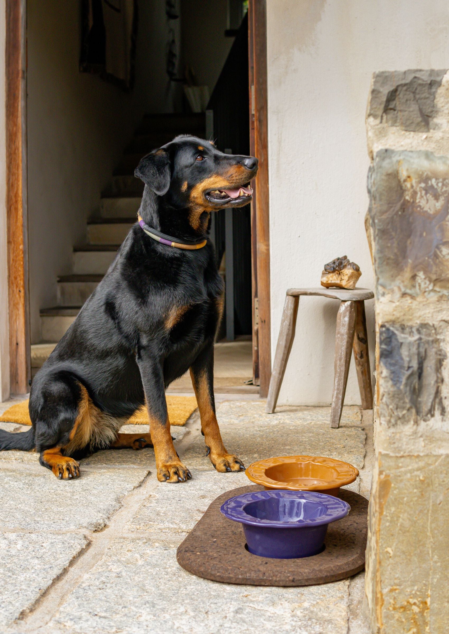 Ceramic Boujee Dog Bowl | Baba Ganoush