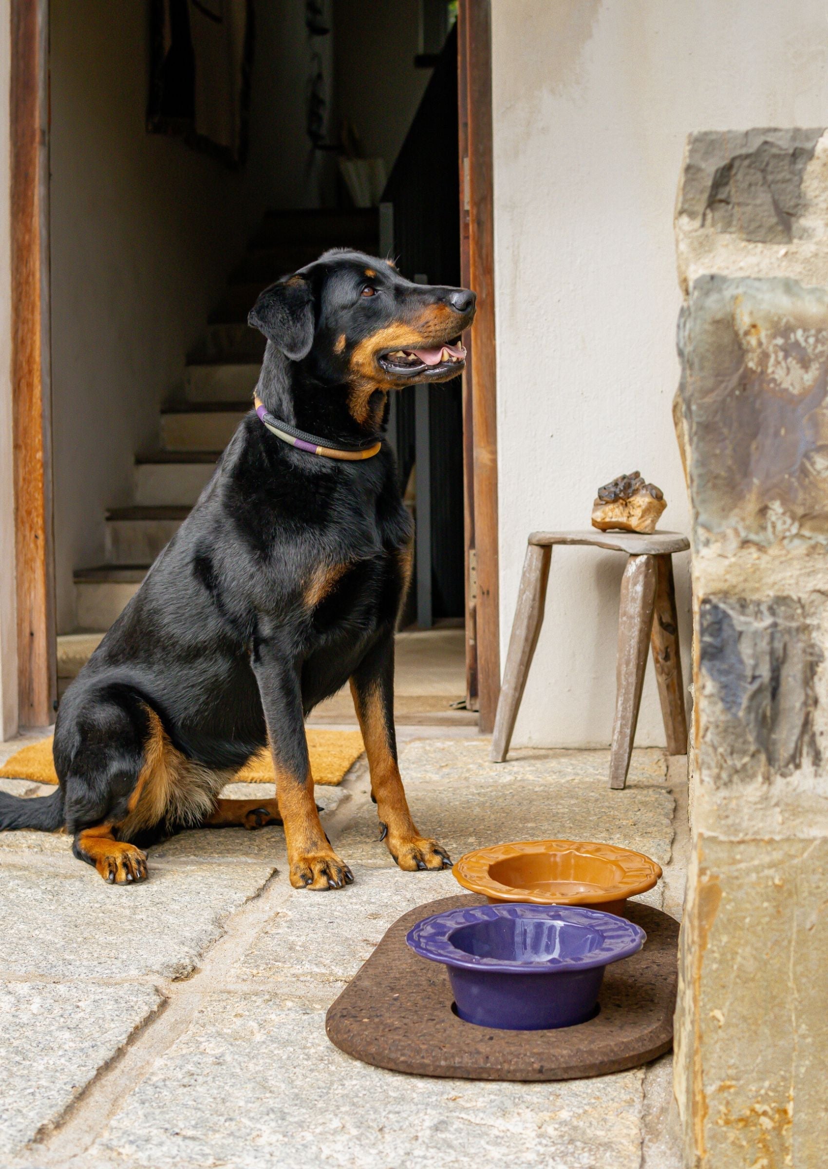 Ceramic Boujee Dog Bowl | Tangerine