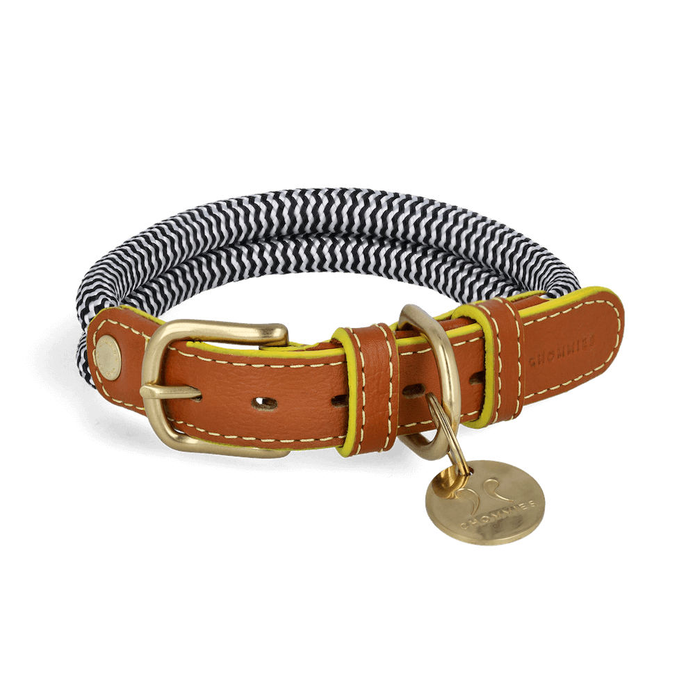 Chommies Adjustable Dog Collar | Sandton Yellow Edge