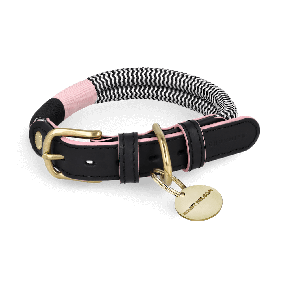 Adjustable Dog Collar | Tennis Court - Chommies