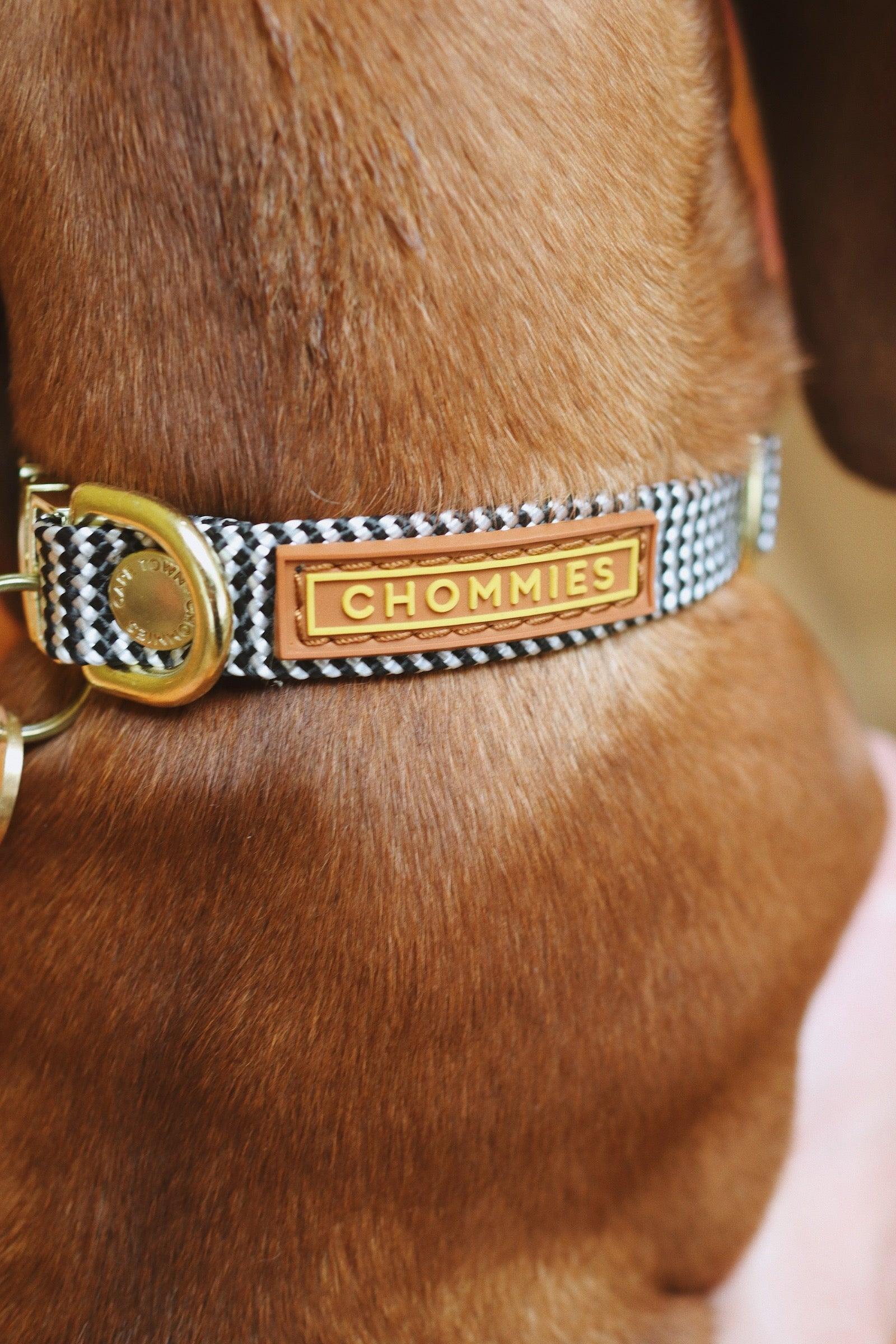 Adjustable Puppy Collar | Tiger - Chommies