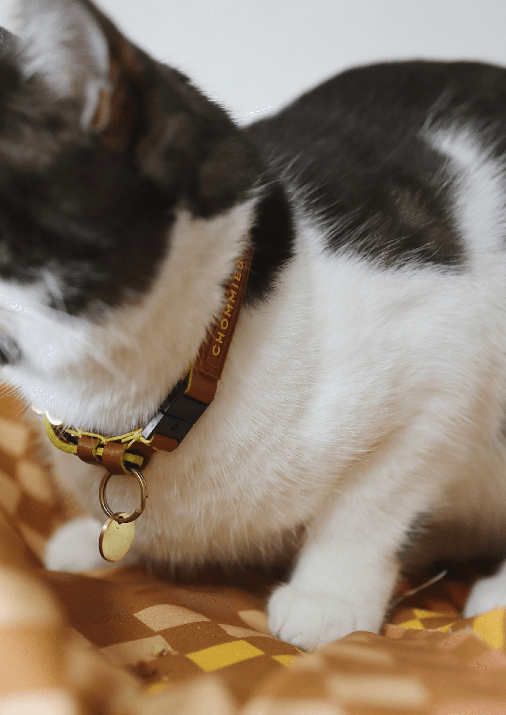 Adjustable Quick - Release Leather Cat Collar | Cognac West - Chommies