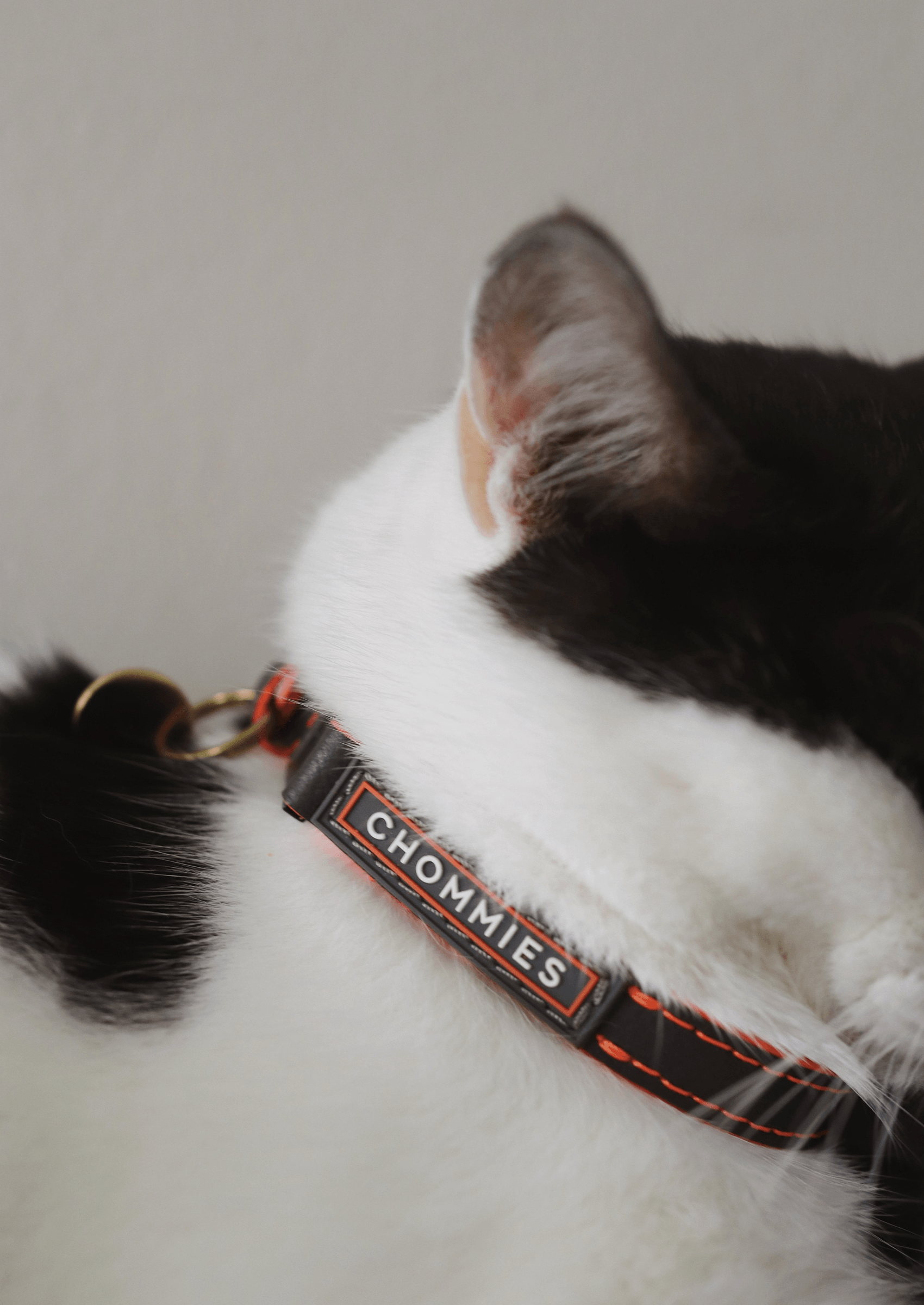 Chommies Adjustable Quick - Release Leather Cat Collar | Grey Z