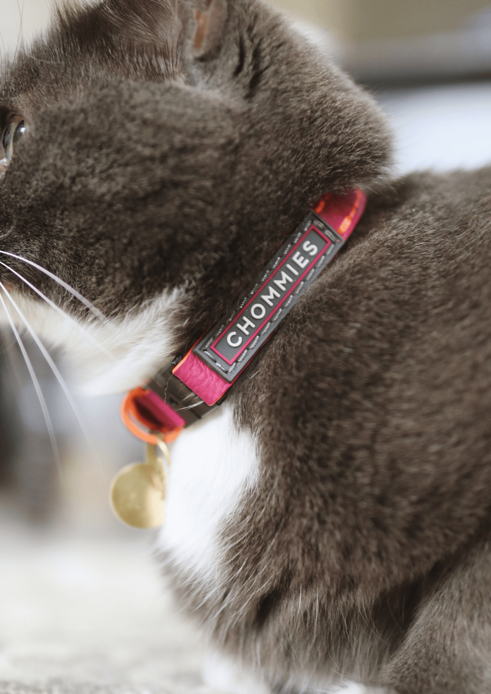 Chommies Adjustable Quick - Release Leather Cat Collar | Pink Lizzo