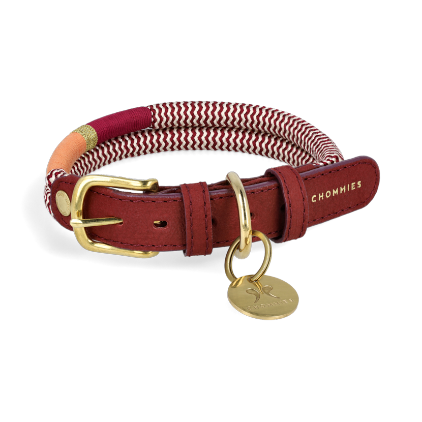 Adjustable Dog Collar | Autumn with Vegan Mycelium Leather