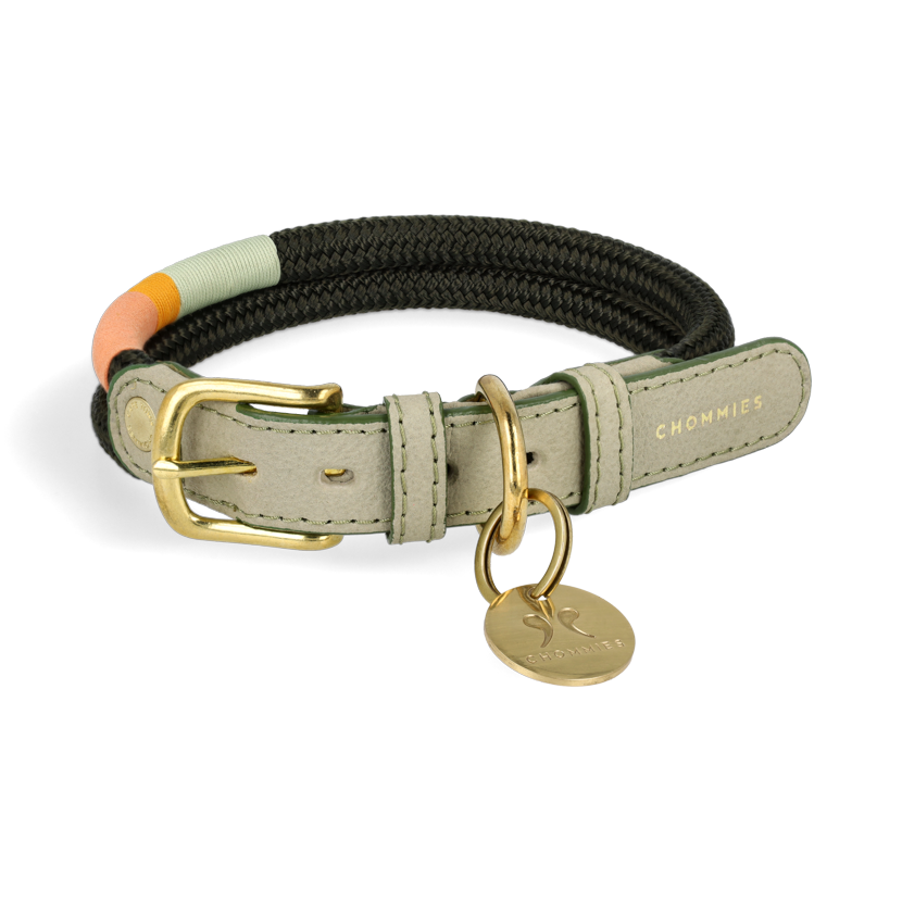 Adjustable Dog Collar | Spring with Vegan Mycelium Leather