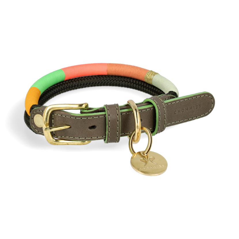 Adjustable Dog Collar | Spring