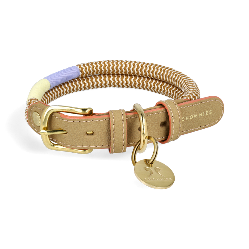 Adjustable Dog Collar | Summer with Vegan Mycelium Leather