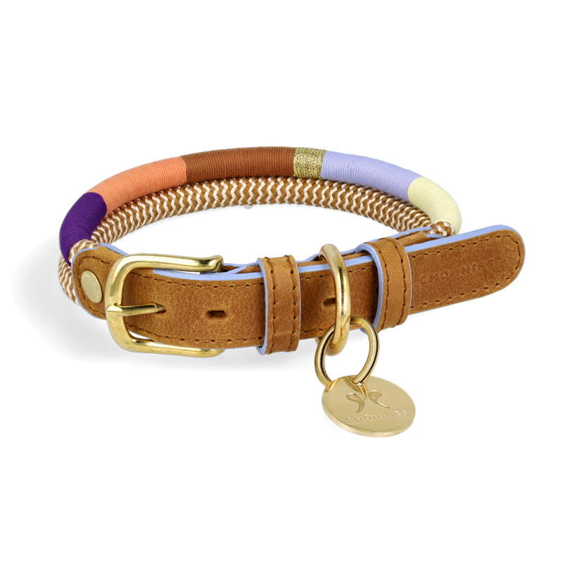 Adjustable Dog Collar | Summer