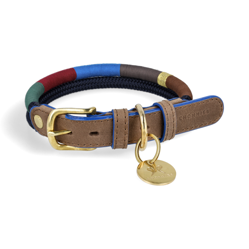 Colourful Luxury Accessories Created for Dogs and People who Love Them