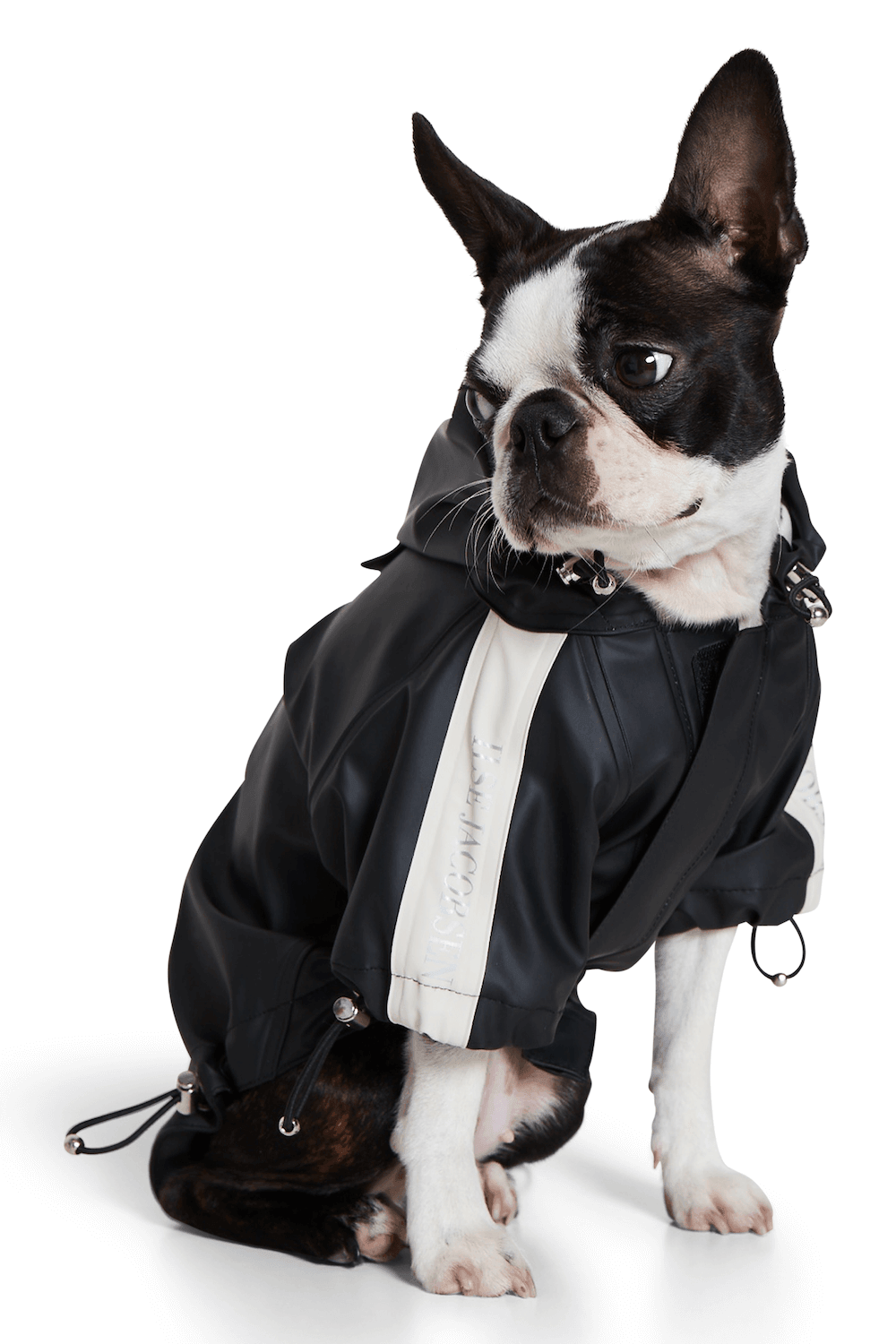 Dog Rain Coat Black For Small Dog Breeds Chommies