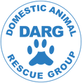 Dog Blanket Donation to DARG