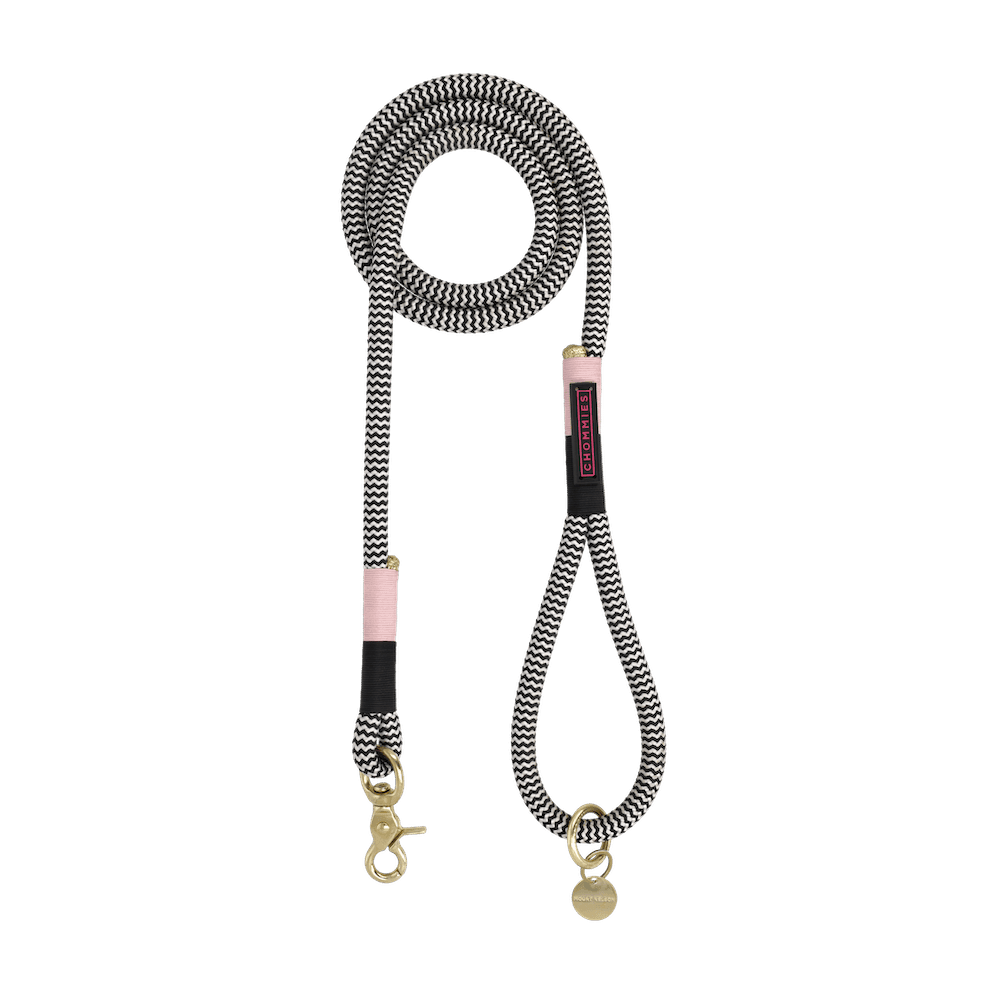 Chommies Everyday Dog Leash | Tennis Court