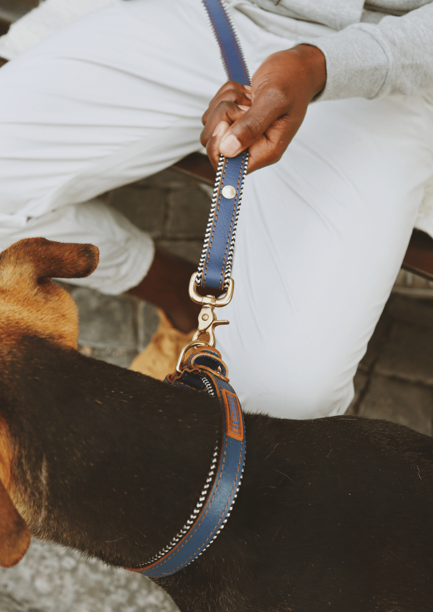 Everyday Leather Dog Leash | Blue Snoop - Chommies