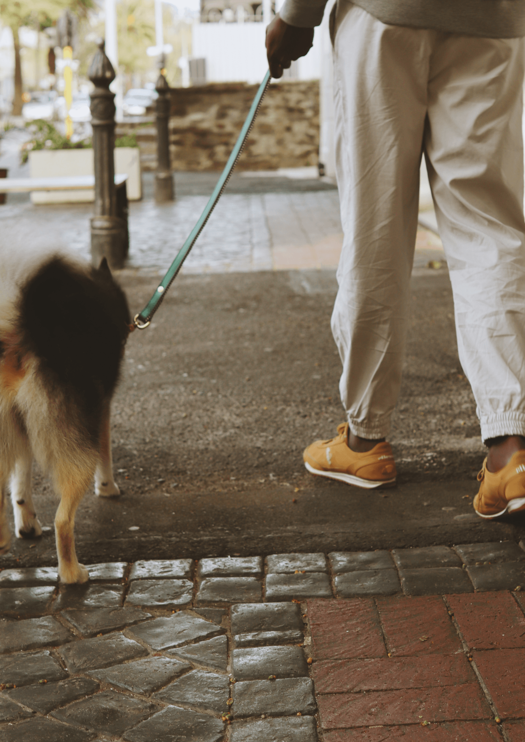 Everyday Leather Dog Leash | Green Shady - Chommies