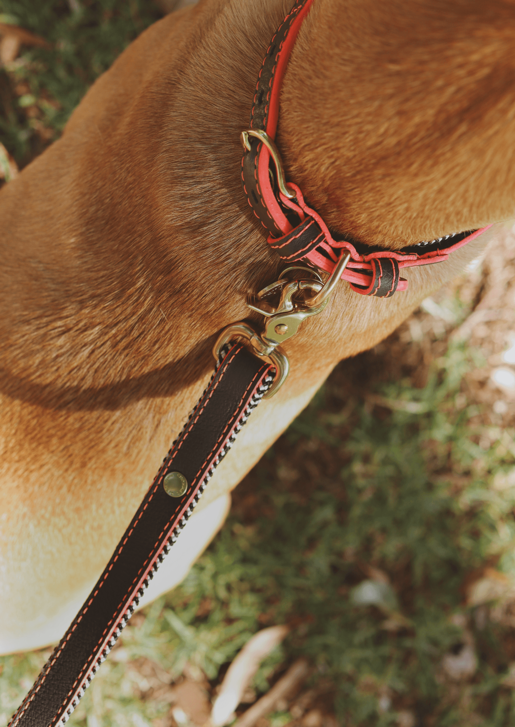 Everyday Leather Dog Leash | Grey Z - Chommies