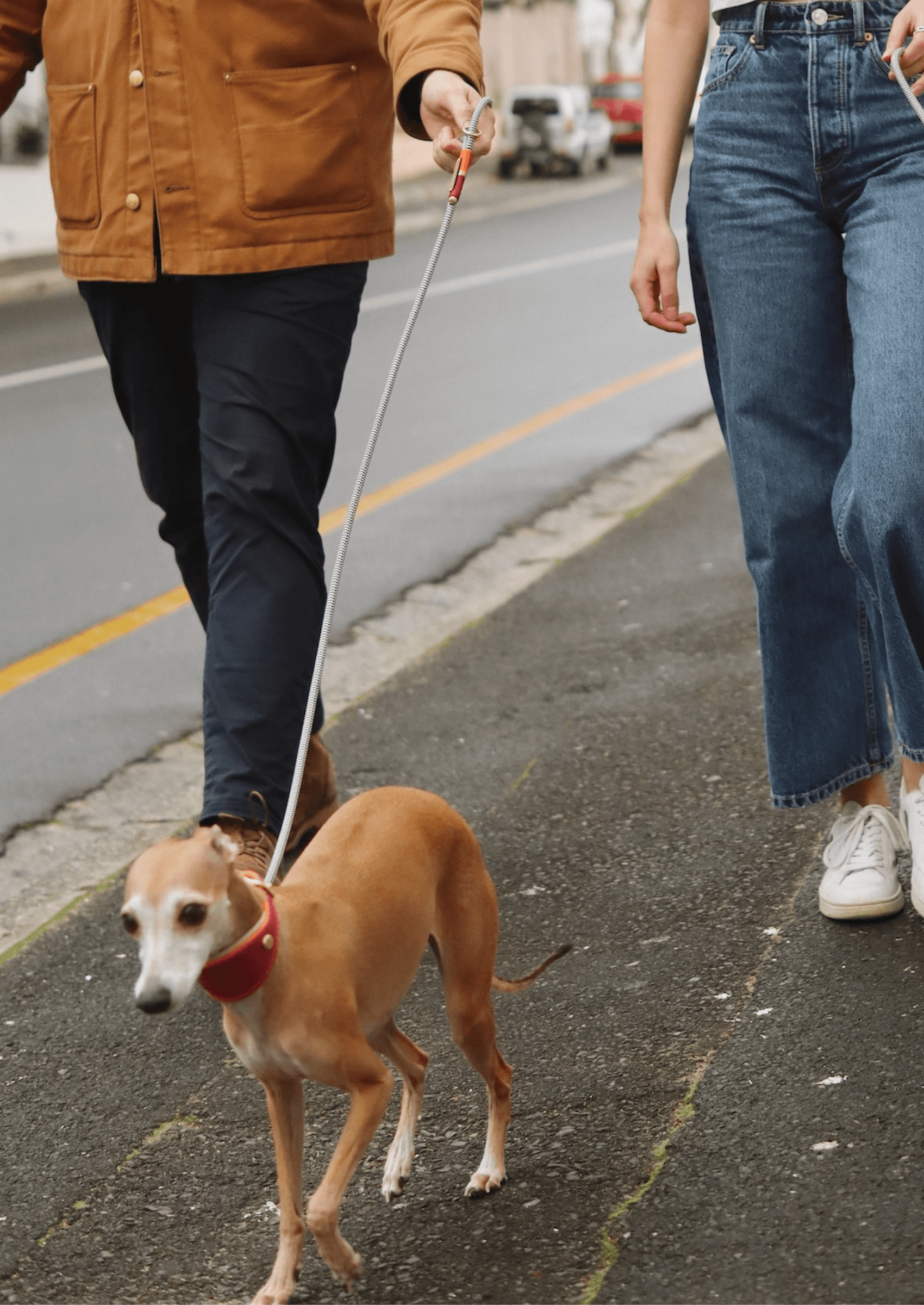 Everyday Sighthound Leash | Burna Berry - Chommies