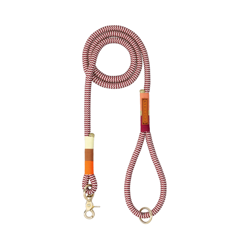 Everyday Dog Leash | Autumn