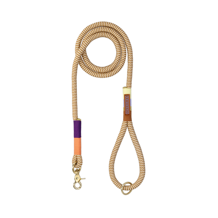 Everyday Dog Leash | Summer