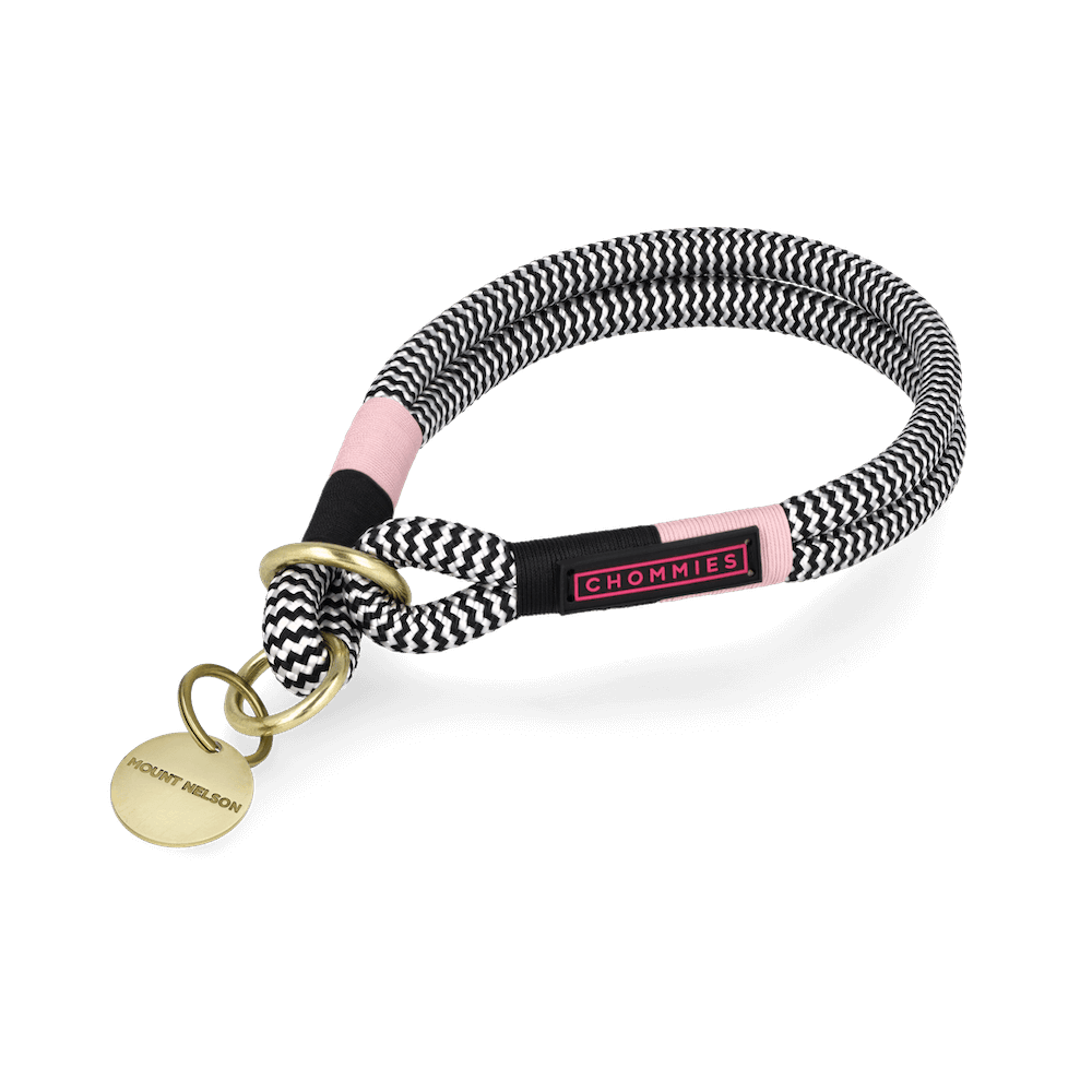 Chommies Slip - On Choker Dog Collar | Tennis Court