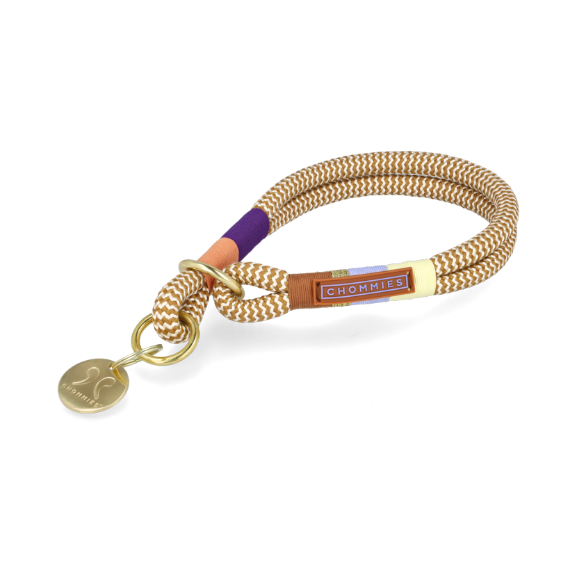 O-Ring Choker Dog Collar | Summer